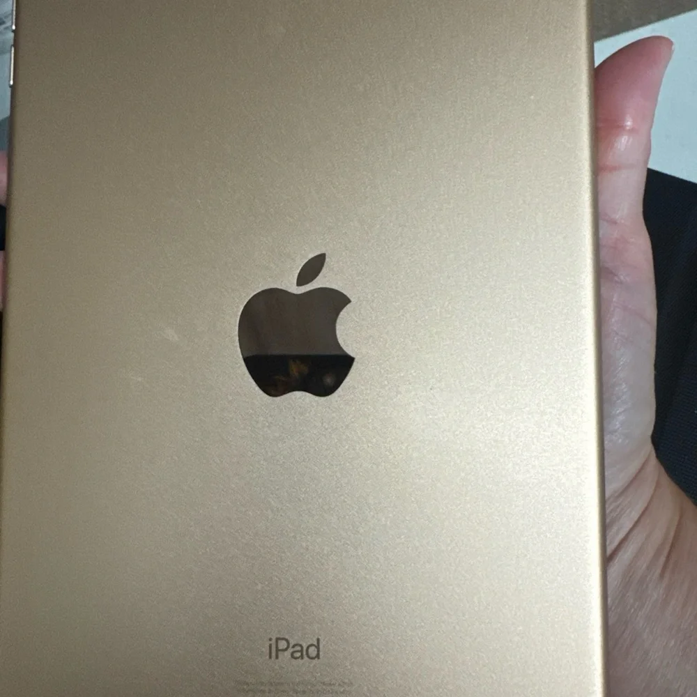 iPad Mini 5th gen in Rose Gold Finish